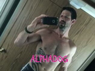 ALPHADOG