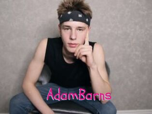 AdamBarns
