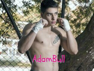 AdamBull
