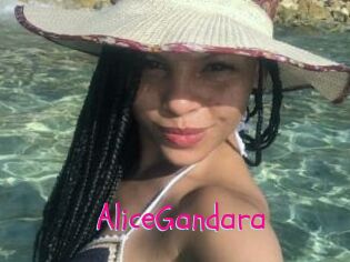 AliceGandara