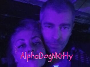 AlphaDogNKitty