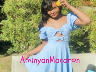 AminyanMacaron
