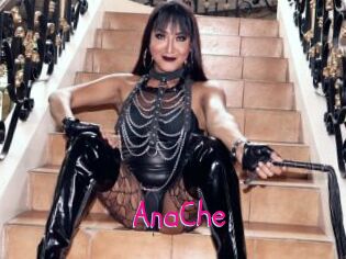 AnaChe