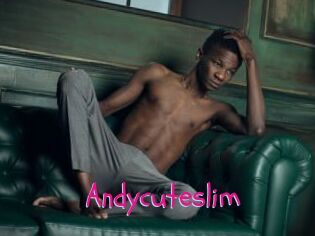 Andycuteslim