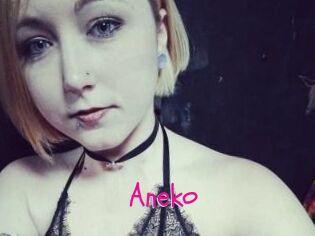 Aneko
