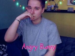Angry_Bunny