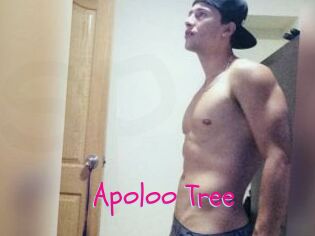 Apoloo_Tree