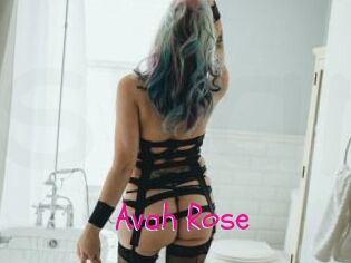 Avah_Rose