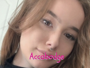 Accabodge