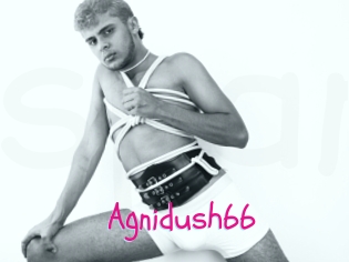 Agnidush66