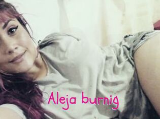Aleja_burnig