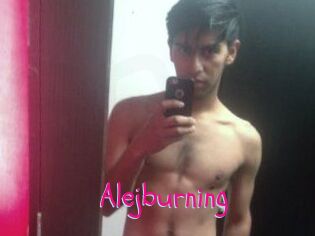 Alejburning