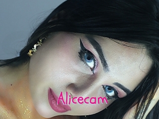 Alicecam
