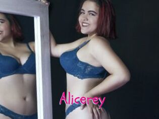 Alicerey