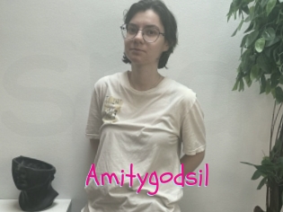 Amitygodsil