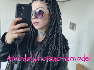 Amodelwhoisnotamodel