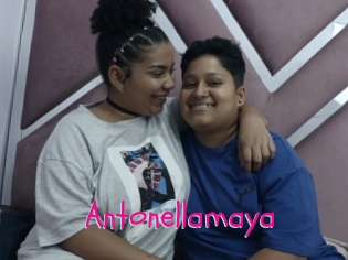 Antonellamaya
