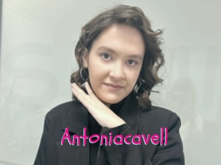 Antoniacavell