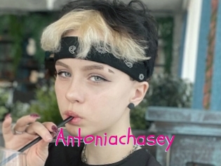 Antoniachasey