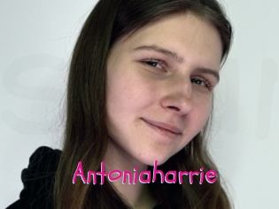 Antoniaharrie