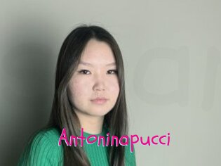 Antoninapucci