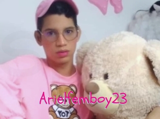Arielfemboy23