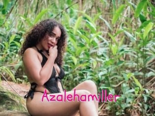 azalehamiller Spanking Sarah