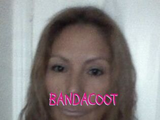 BANDACOOT