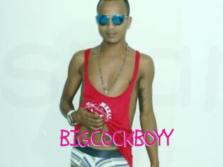 BIGCOCKBOYY