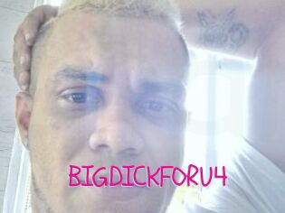 BIGDICKFORU4