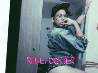 BLUEFOOSTER