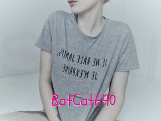 BatCat690