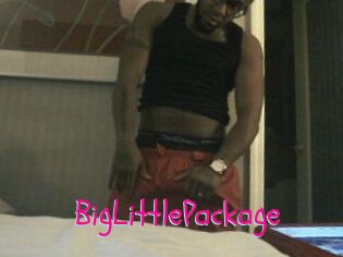 BigLittlePackage