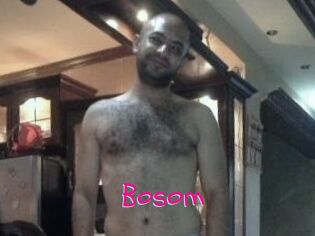 Bosom