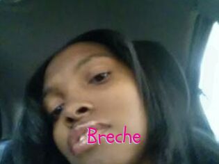 Breche