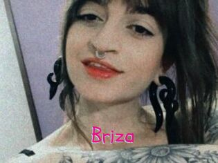 Briza