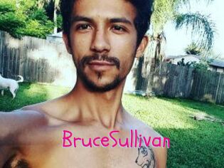 Bruce_Sullivan