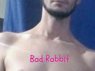 Bad_Rabbit