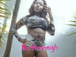 Barbiesneigh
