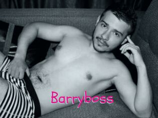 Barryboss