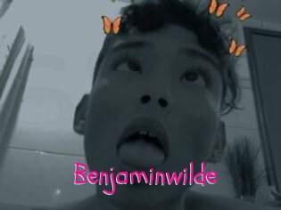 Benjaminwilde