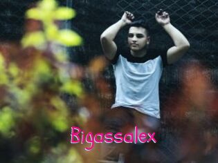 Bigassalex