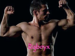 Bigboyx