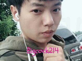 Bigcock214