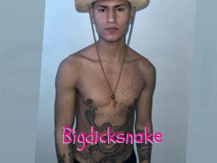 Bigdicksnake