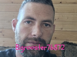 Bigrooster76872