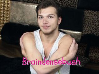 Braindensebush