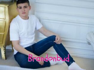 Brandonbud