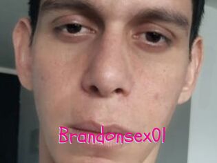 Brandonsex01