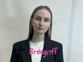 Breegriff